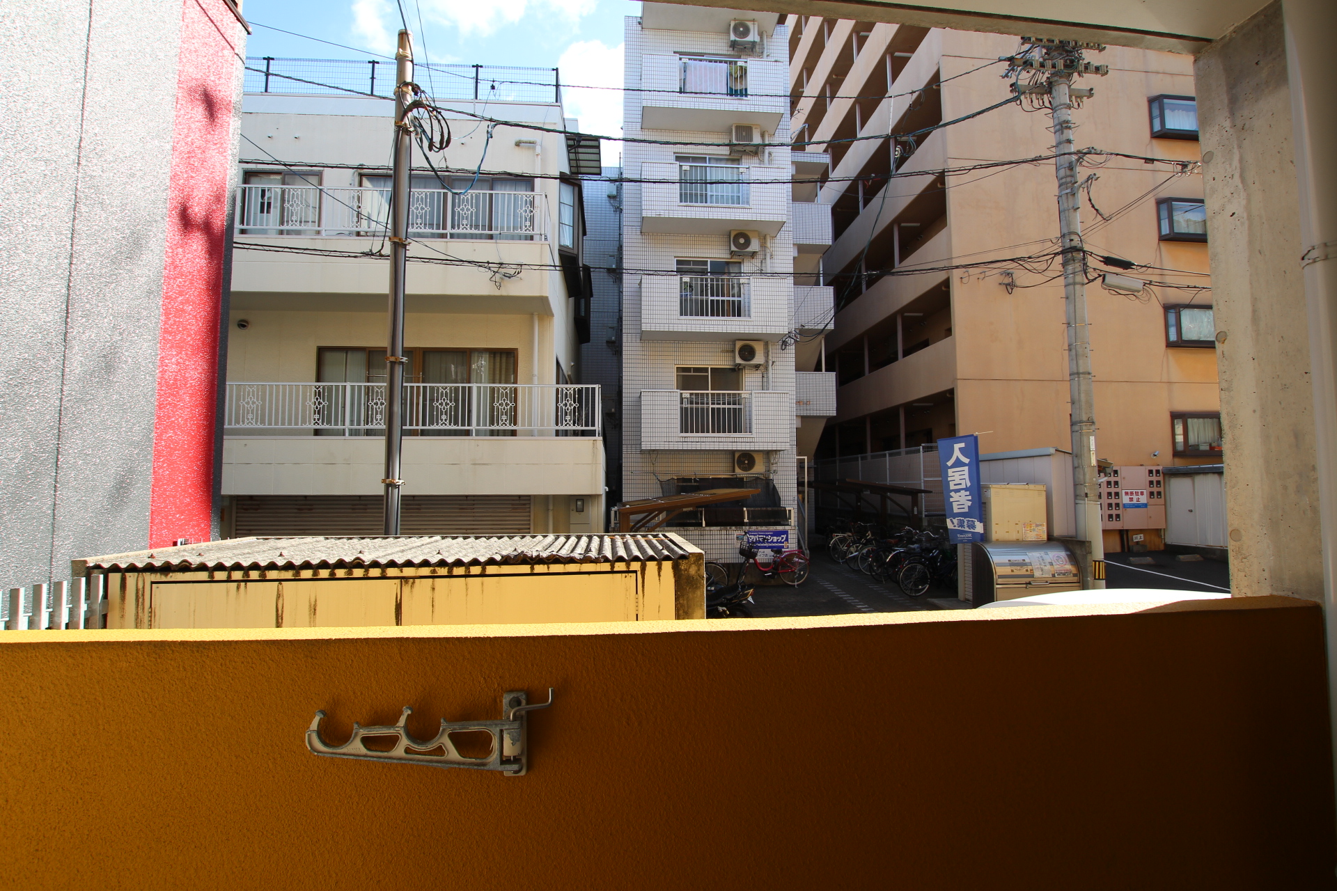 FELCA IMG_2680