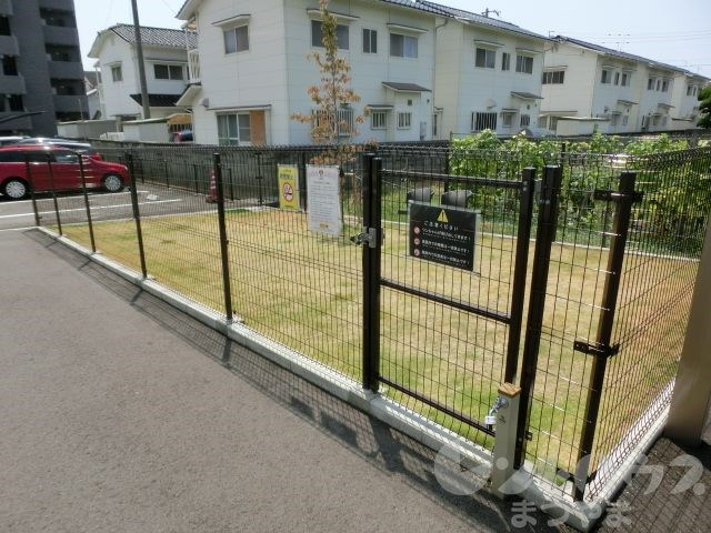 TRENTE LUMIERE ドッグラン