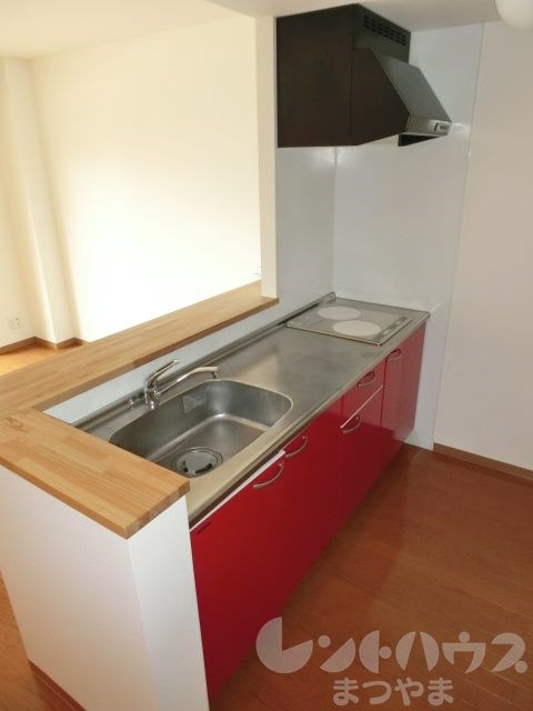 パークハイツ道後 キッチン