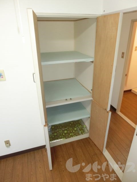 恵ハイツ 収納