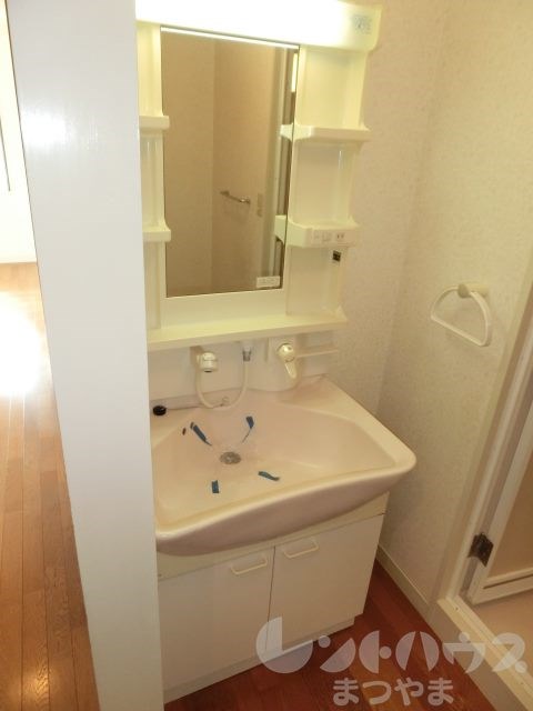 コサージュ衣山 洗面所